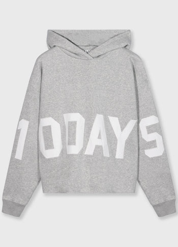 THE STATEMENT LOGO HOODIE | light grey melee