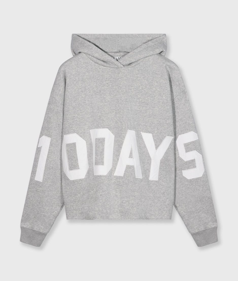 THE STATEMENT LOGO HOODIE | light grey melee